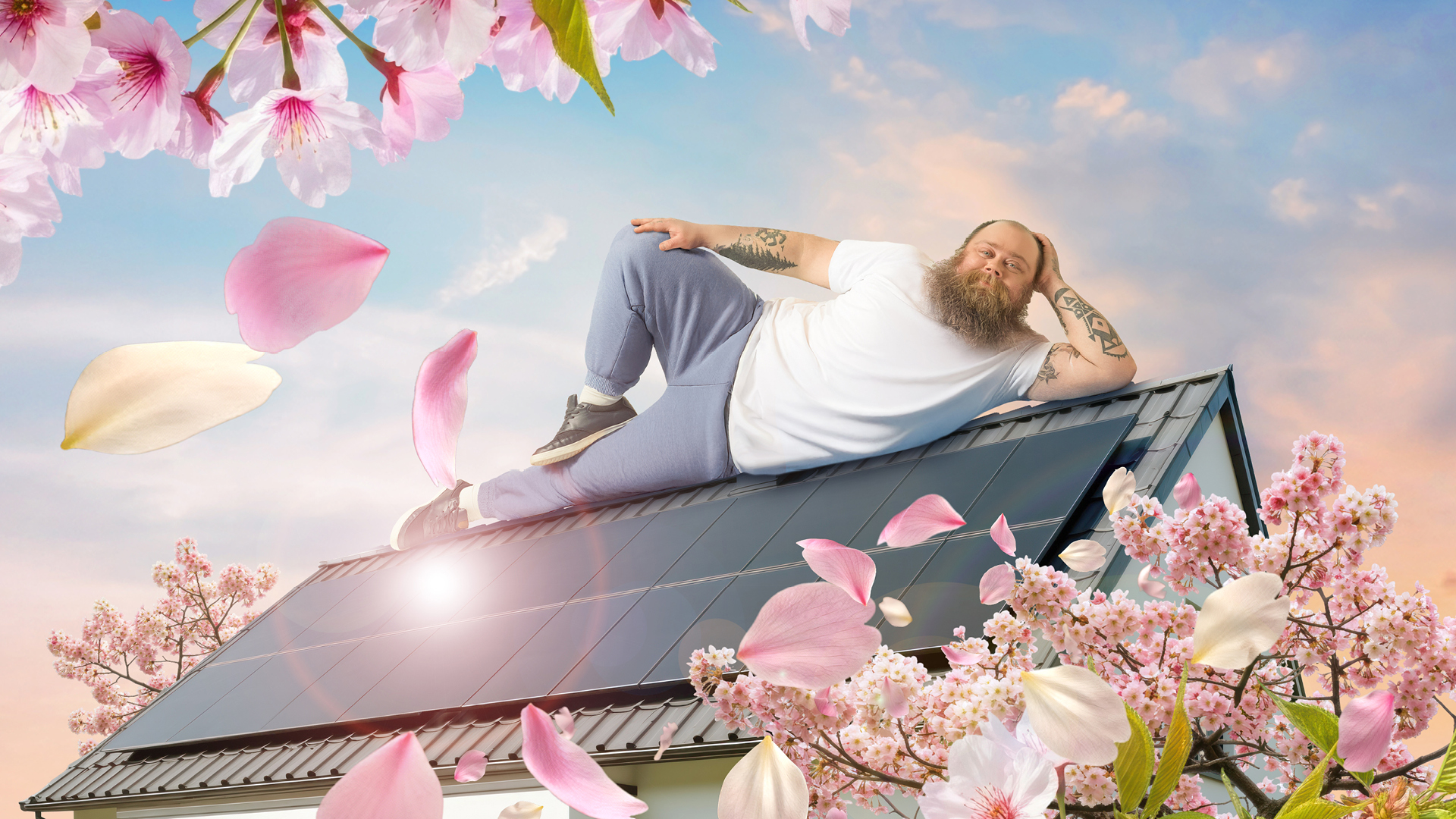 Schmuckbild: Mann liegt auf Solardach drumherum Kirschblüten