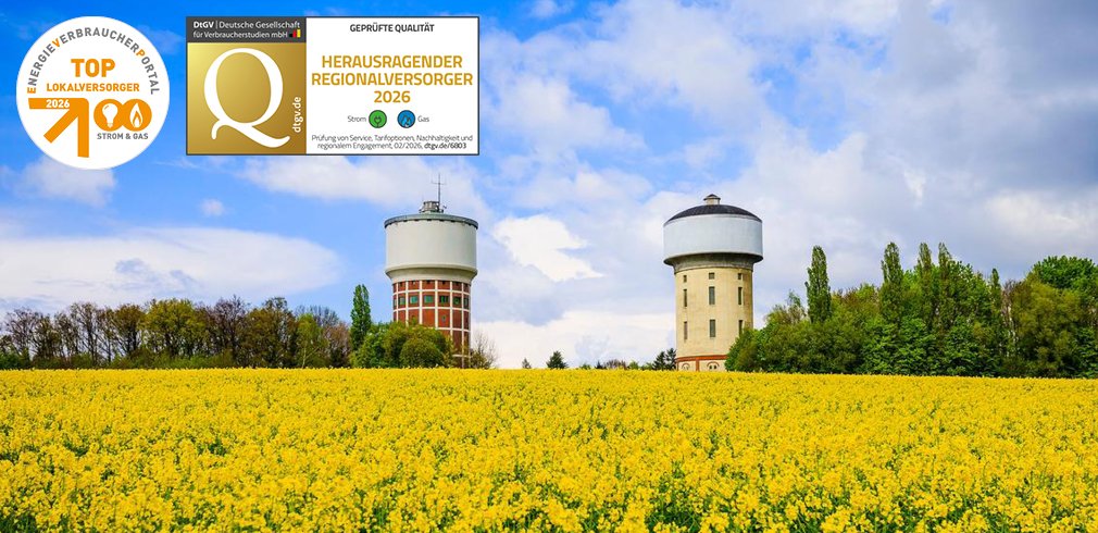 Ansicht der Wassertürme in Hamm, Vermerk auf Zertifikat: Herausragender Regionalversorger 2024